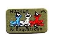 subaqueous hockey