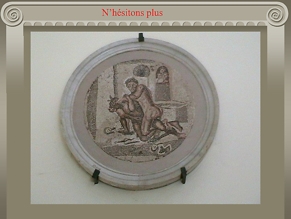 Le pont de Bezons: son histoire 1811-1871